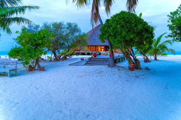 Bungalow tropical en la increíble playa con una palmera —  Fotos de Stock