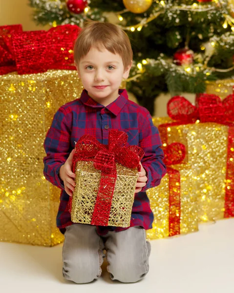 Маленький мальчик рядом с елкой с подарком . — стоковое фото