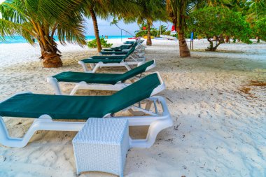 Maldivler 'de güzel bir tropik plajda şezlonglar.