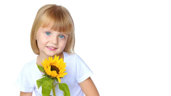 Holčička pózuje ve studiu. Detailní záběr. — Stock fotografie