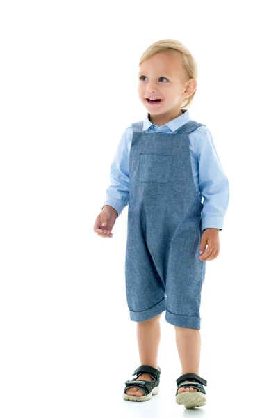 Knappe kleine jongen lachen. Het concept van een gelukkige kindertijd — Stockfoto