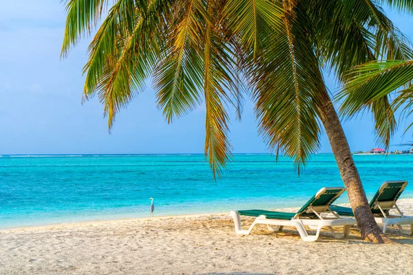 Sillas de salón en una hermosa playa tropical en Maldivas — Foto de Stock