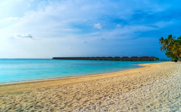 Palmbomen tegen de blauwe lucht en witte wolken. — Stockfoto