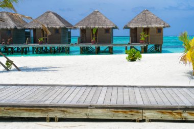 Tropikal kıyılarında kulübelere giden ahşap köprüler