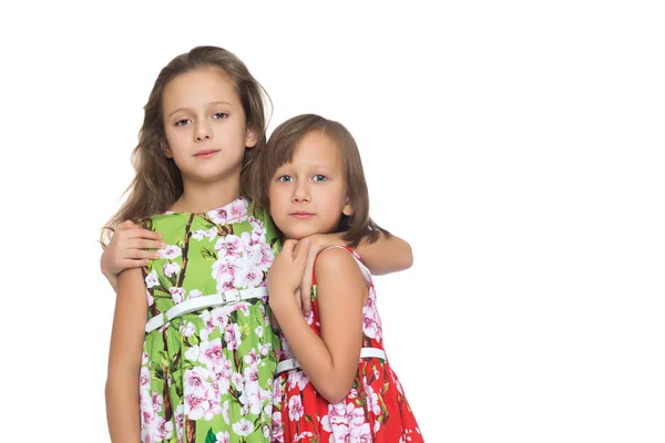 女の子の姉妹が抱き合う。白い背景に隔離 — ストック写真