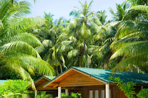 Wooden bridges leading to the huts on the shores of the tropical — Stock Photo, Image