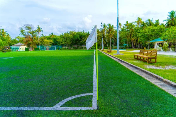 Boisko do piłki nożnej, sztuczna zielona trawa, wśród lasów palmowych. — Zdjęcie stockowe