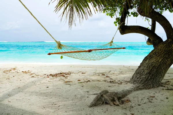 Leere Hängematte zwischen Palmen am Sandstrand — Stockfoto