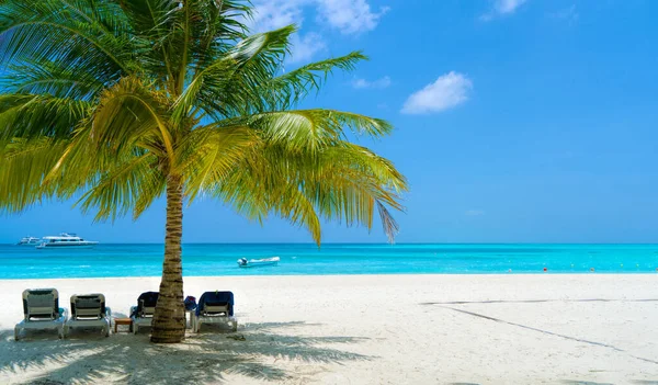 Chaises longues sur une belle plage tropicale aux Maldives — Photo