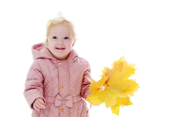 Petite fille aux feuilles d'érable. Isolé sur fond blanc . — Photo