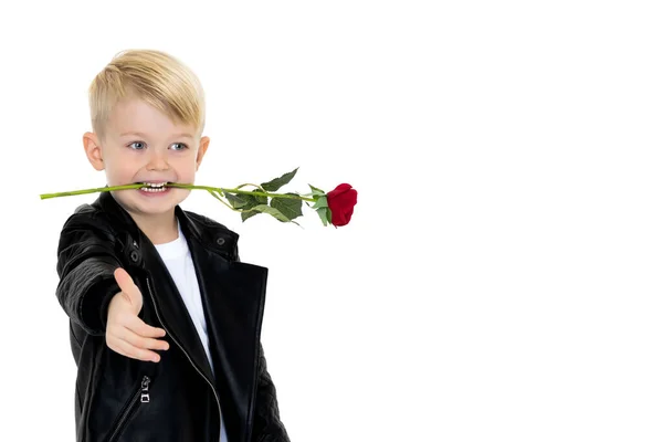 Um menino tem uma flor na mão . — Fotografia de Stock