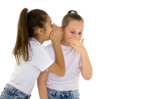 Duas meninas alegres compartilham segredos um no outro s orelha. — Fotografia de Stock