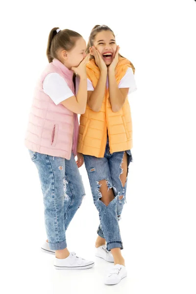 Two cheerful little girls share secrets in each other s ear. — Stock Photo, Image