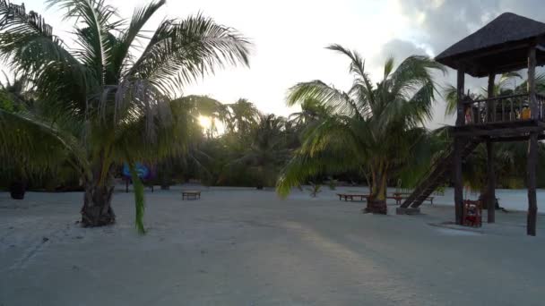 Beach Resort mit Palmen und hölzernem Rettungsschwimmturm — Stockvideo