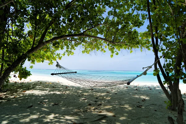 Amaca vuota tra palme sulla spiaggia sabbiosa — Foto Stock