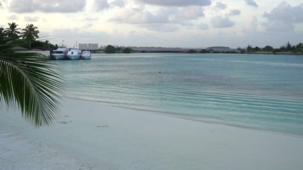 Palmbomen aan de kust van de perfecte tropische zee. — Stockvideo