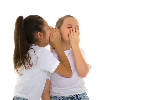 Duas meninas alegres compartilham segredos um no outro s orelha. — Fotografia de Stock