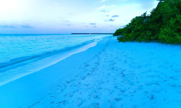 Palmbomen aan de kust van de perfecte tropische zee. Alleen zee en zand. — Stockfoto