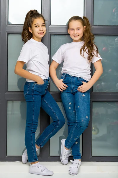 Dos niñas lindas posando en el estudio cerca de una ventana grande. —  Fotos de Stock