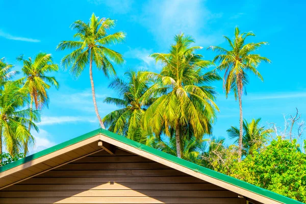 Tropické bungalov na úžasné pláži s palmou — Stock fotografie