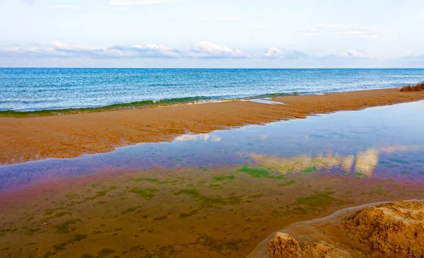 Hermosa naturaleza verano playa fondo, enfoque selectivo . — Foto de Stock