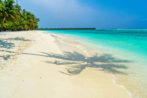 Sombras de palmeras en la playa arenosa del paraíso tropical — Foto de Stock