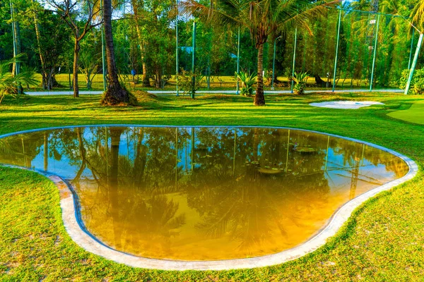 Reflet des cocotiers autour de l'étang — Photo