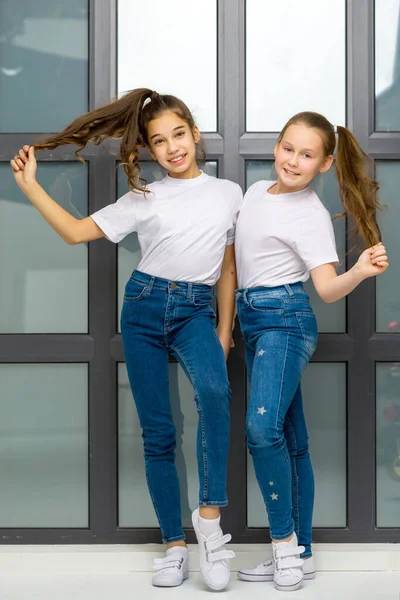 Dos niñas lindas posando en el estudio cerca de una ventana grande. —  Fotos de Stock