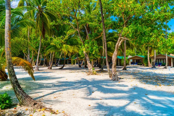 Tropikal cennetin kumlu sahilinde palmiye ağaçlarının gölgeleri — Stok fotoğraf