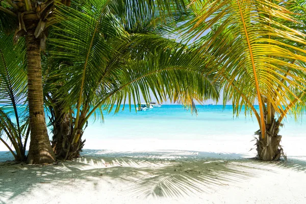 Shadows of palm trees on the sandy seashore of tropical paradise — Stock Photo, Image