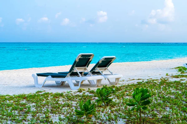 Maldivler 'de güzel bir tropik plajda şezlonglar. — Stok fotoğraf
