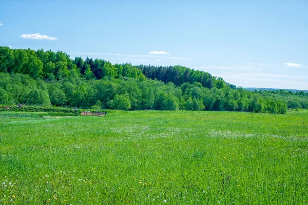 Céu azul e nuvem com árvore de prado. Fundo paisagem lisa para cartaz de verão. — Fotografia de Stock