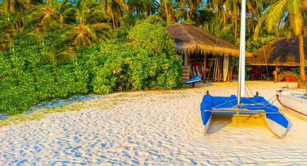 Muhteşem sahilde, palmiye ağacıyla tropik bir bungalov. — Stok fotoğraf