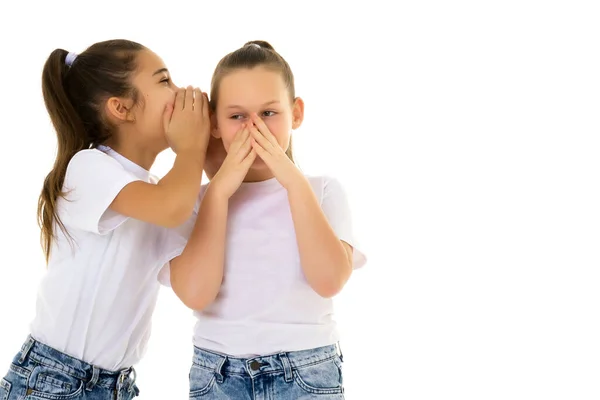 Duas meninas alegres compartilham segredos um no outro s orelha. — Fotografia de Stock