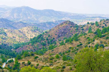 Yüksek kozalaklı dağlardan inanılmaz bir manzara. Güneşli bir günde