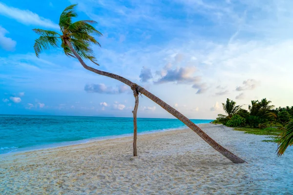 Top uitzicht op prachtig strand. Luchtfoto drone van turquoise zee — Stockfoto