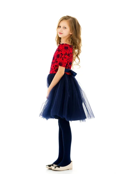 Boční pohled na roztomilé hezká dívka na sobě pěkné šaty s modrým Tulle — Stock fotografie