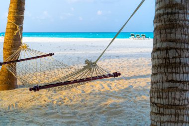 Kumsaldaki palmiye ağaçları arasında boş hamak.