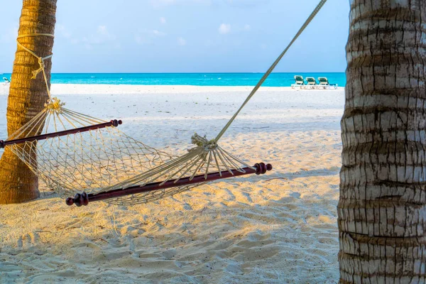 Hamaca vacía entre palmeras en la playa de arena — Foto de Stock