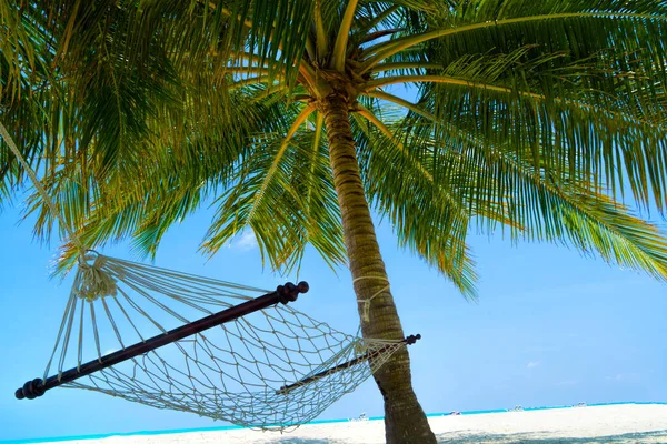 Empty hammock between palms trees at sandy beach — Stock Photo, Image