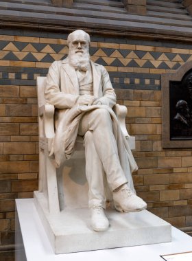 Charles Darwin 'in heykeli