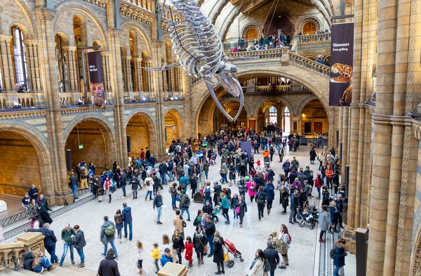Londra Regno Unito Gennaio Museo Storia Naturale Gennaio 2019 Londra — Foto Stock