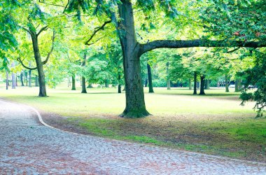 Warnemuende kaldırım taşları ile yeşil ağaçlar ile parkta