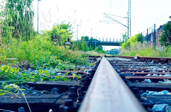 Vías Férreas Campo Con Lecho Vías Grava Interruptor Cruce Ferrocarril —  Fotos de Stock