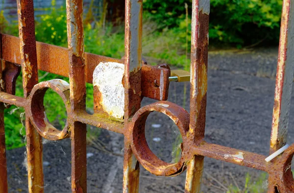 Portão Ferro Histórico Com Jardim Dianteiro Fundo — Fotografia de Stock