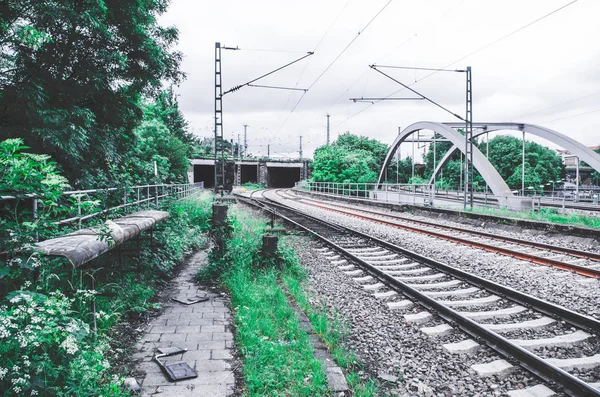 背景および鉄道橋とトンネルで緑の草原とレトロな外観の日トラックを列車します — ストック写真