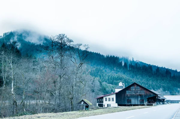Wooden Hut Black Forest Foggy Firs Background Street — Stock Photo, Image