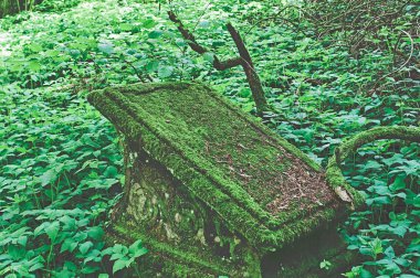 Yeşil bir mezarlıküzerinde hasar ile kırık mezar taşı