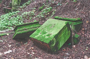 Yeşil bir mezarlıküzerinde hasar ile kırık mezar taşı