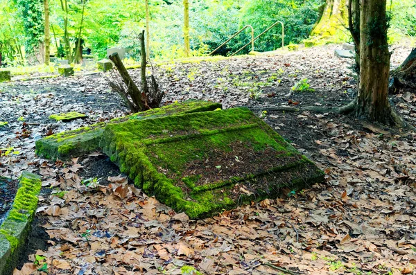 Pedra Tumular Quebrada Com Danos Cemitério Verde — Fotografia de Stock